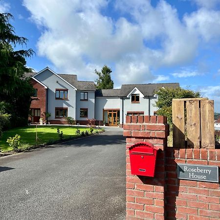 Roseberry House Acomodação com café da manhã Newcastle Emlyn Exterior foto